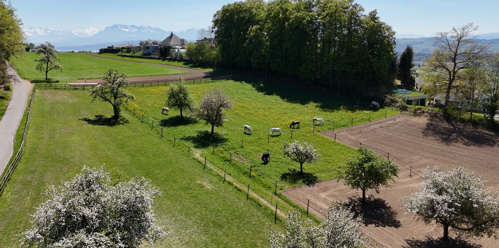 Anlage Equilibrium Horsemanship aus der Vogelperspektive – Weiden, Reitplatz und Alpenpanorama