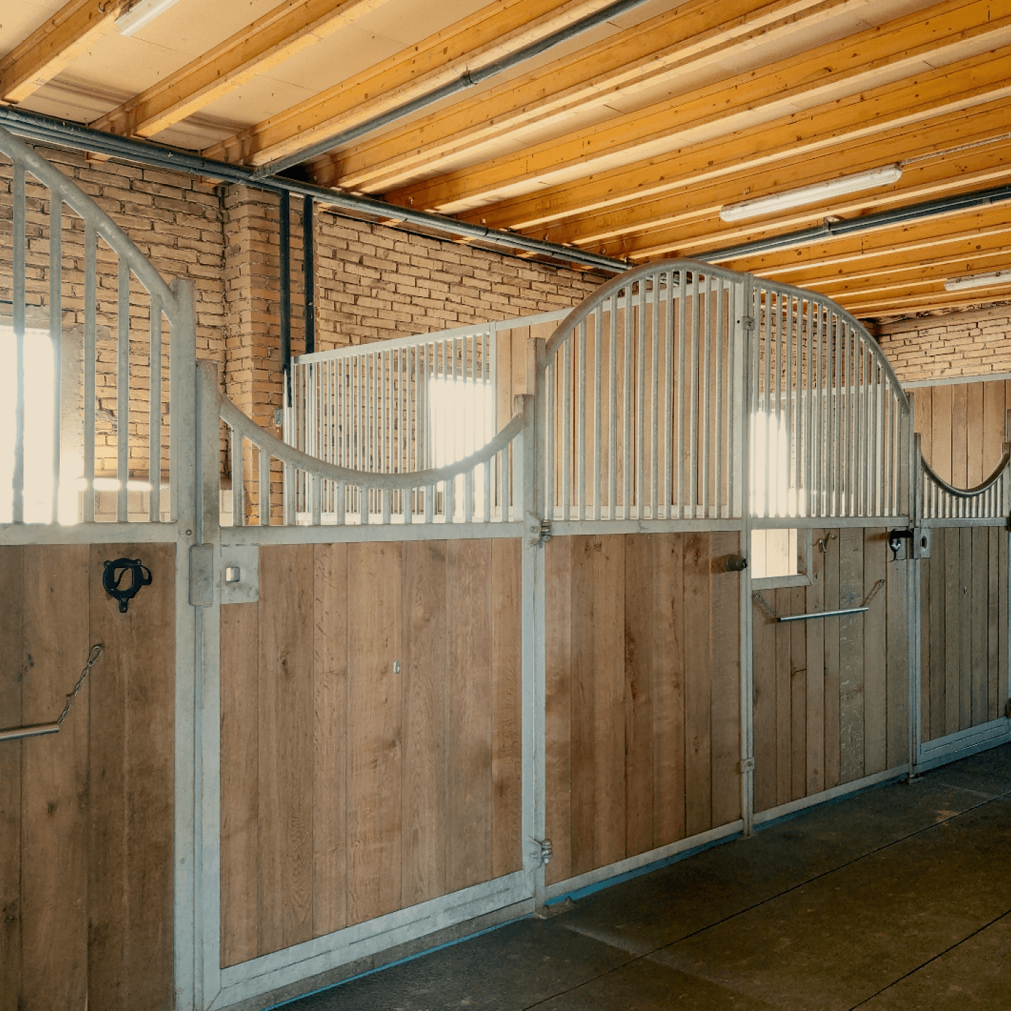 Pferdepension Equilibrium Horsemanship – Stallanlage in Büron