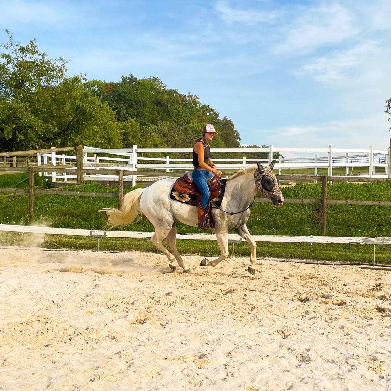 Muskelaufbau und Horsemanship